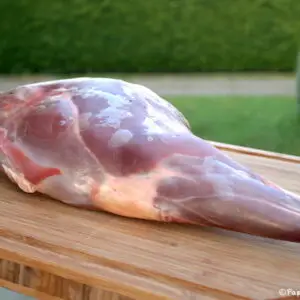 CUISSOT DE CERF AVEC OS