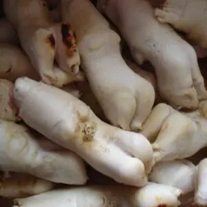 PIED D'AGNEAU CONGELÉ