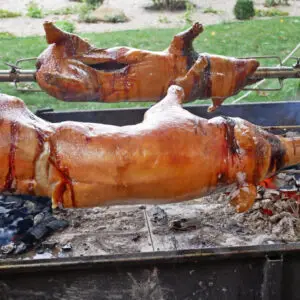 PORCELET ENTIER PAC 10KG
